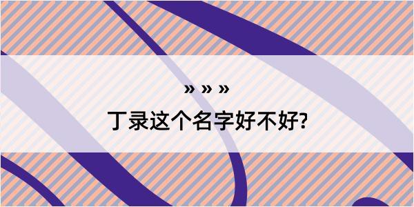 丁录这个名字好不好?