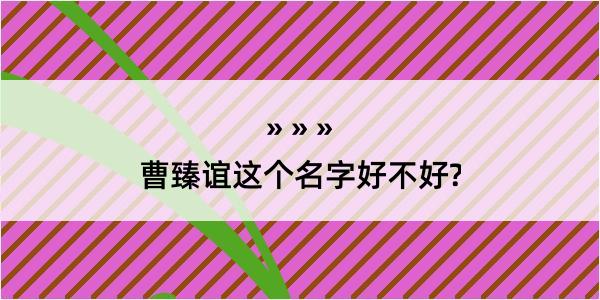 曹臻谊这个名字好不好?