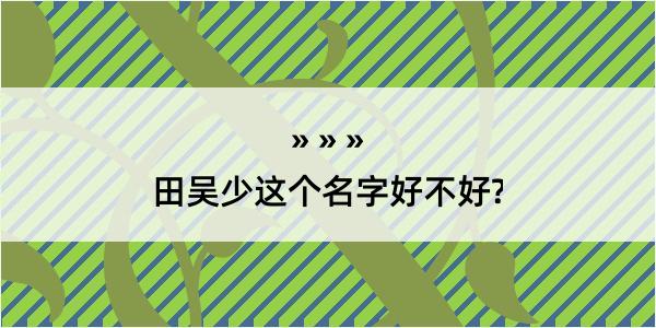 田吴少这个名字好不好?