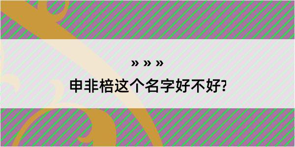 申非棓这个名字好不好?