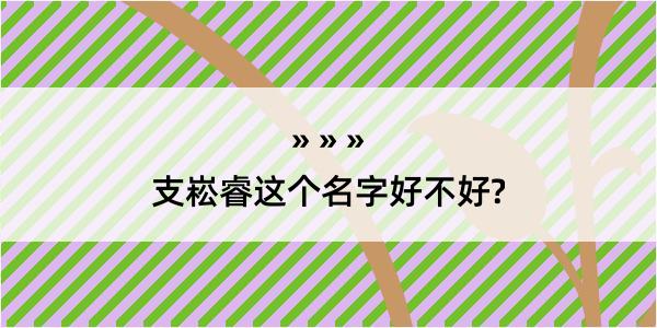 支崧睿这个名字好不好?