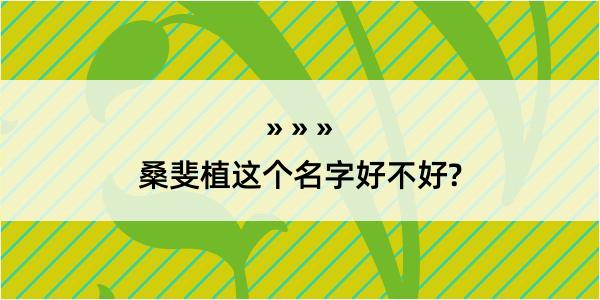 桑斐植这个名字好不好?