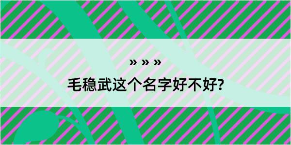 毛稳武这个名字好不好?