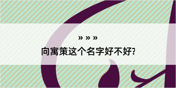 向寓策这个名字好不好?