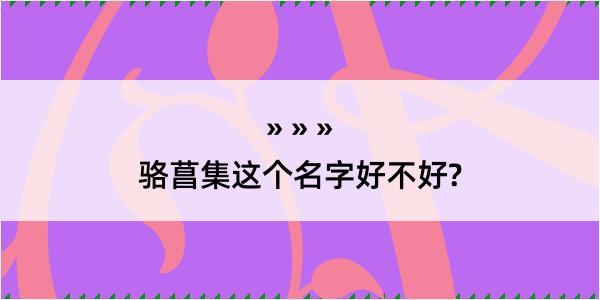 骆菖集这个名字好不好?