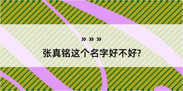 张真铭这个名字好不好?