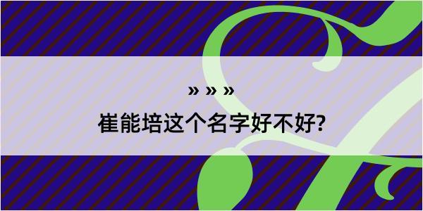 崔能培这个名字好不好?