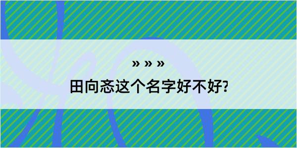 田向忞这个名字好不好?