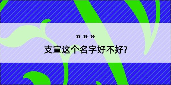 支宣这个名字好不好?