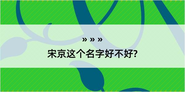 宋京这个名字好不好?