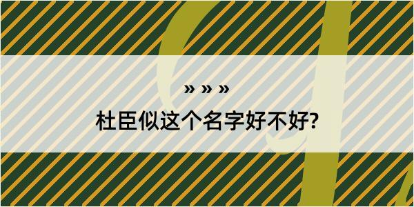 杜臣似这个名字好不好?