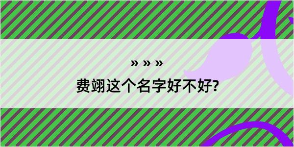 费翊这个名字好不好?