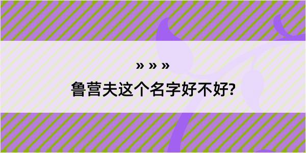 鲁营夫这个名字好不好?