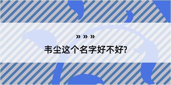 韦尘这个名字好不好?