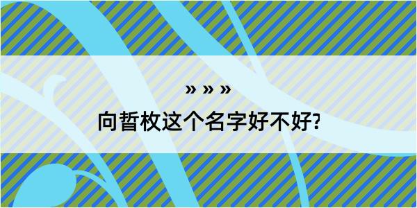 向晢枚这个名字好不好?