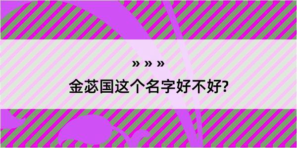 金苾国这个名字好不好?