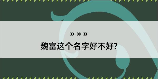 魏富这个名字好不好?