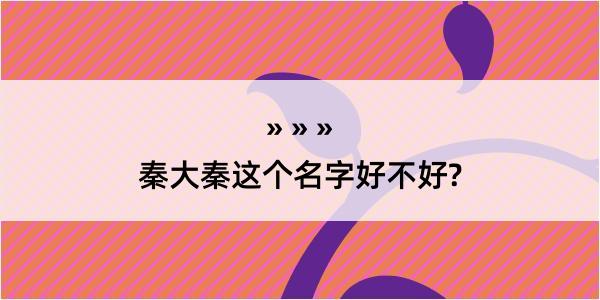 秦大秦这个名字好不好?