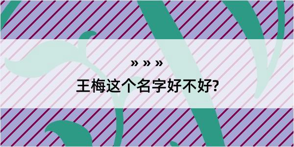 王梅这个名字好不好?