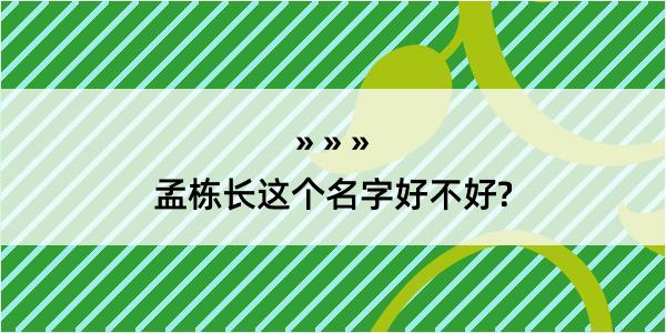 孟栋长这个名字好不好?