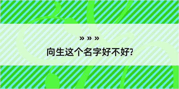 向生这个名字好不好?