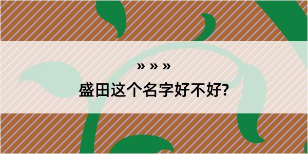 盛田这个名字好不好?