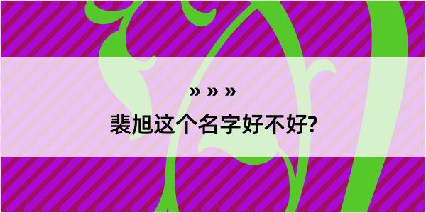 裴旭这个名字好不好?