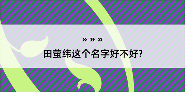 田萤纬这个名字好不好?