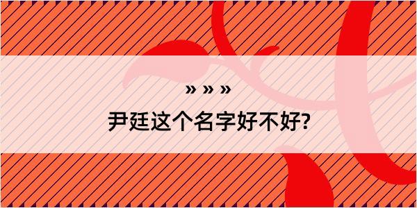 尹廷这个名字好不好?