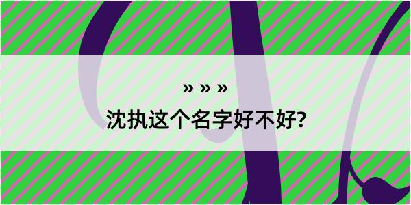 沈执这个名字好不好?