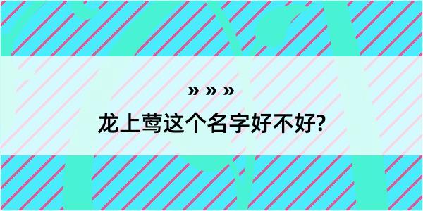 龙上莺这个名字好不好?