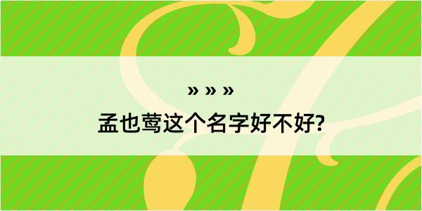 孟也莺这个名字好不好?