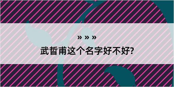 武晢甫这个名字好不好?