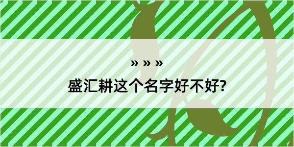 盛汇耕这个名字好不好?