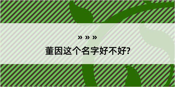 董因这个名字好不好?