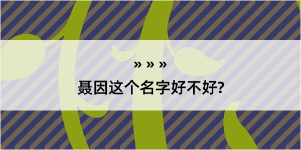 聂因这个名字好不好?