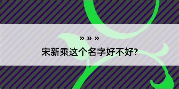 宋新乘这个名字好不好?