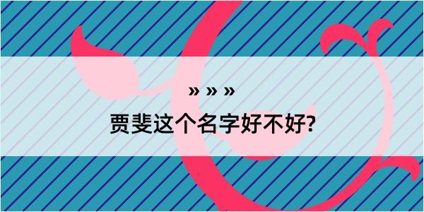 贾斐这个名字好不好?